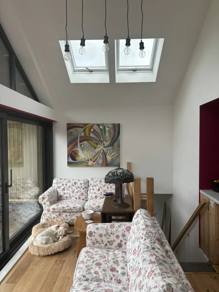 Single storey rear extension - ogwell